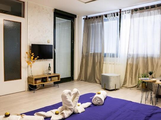 Center Cozy Apartment Subotica Buitenkant foto