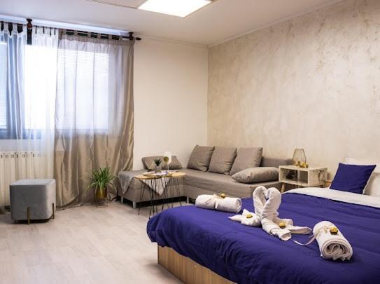 Center Cozy Apartment Subotica Buitenkant foto